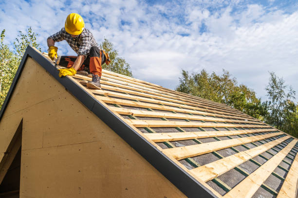 Best Roof Gutter Cleaning  in Bolivar Peninsula, TX